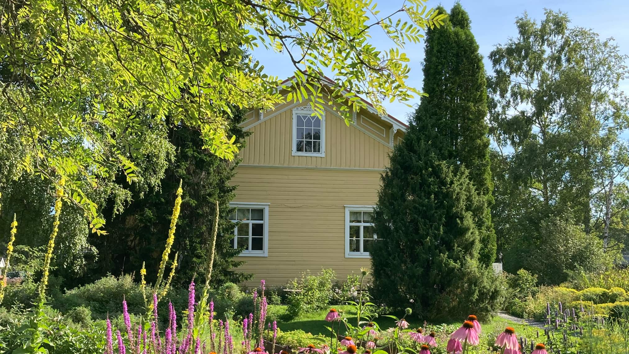 ein Haus aus Holz mit vielen Bäumen davor